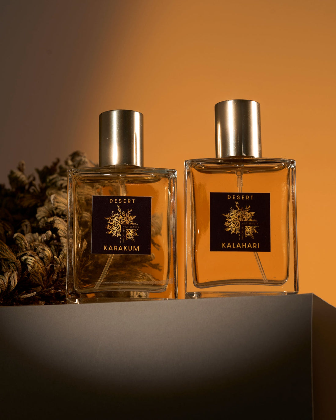 Kalahari - Eau de Parfum