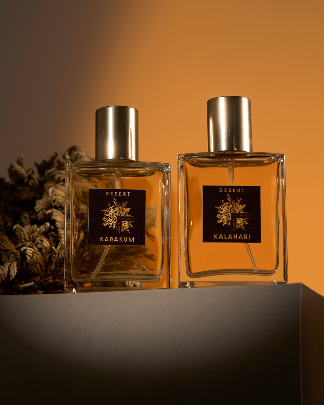 Kalahari | Extrait de parfum